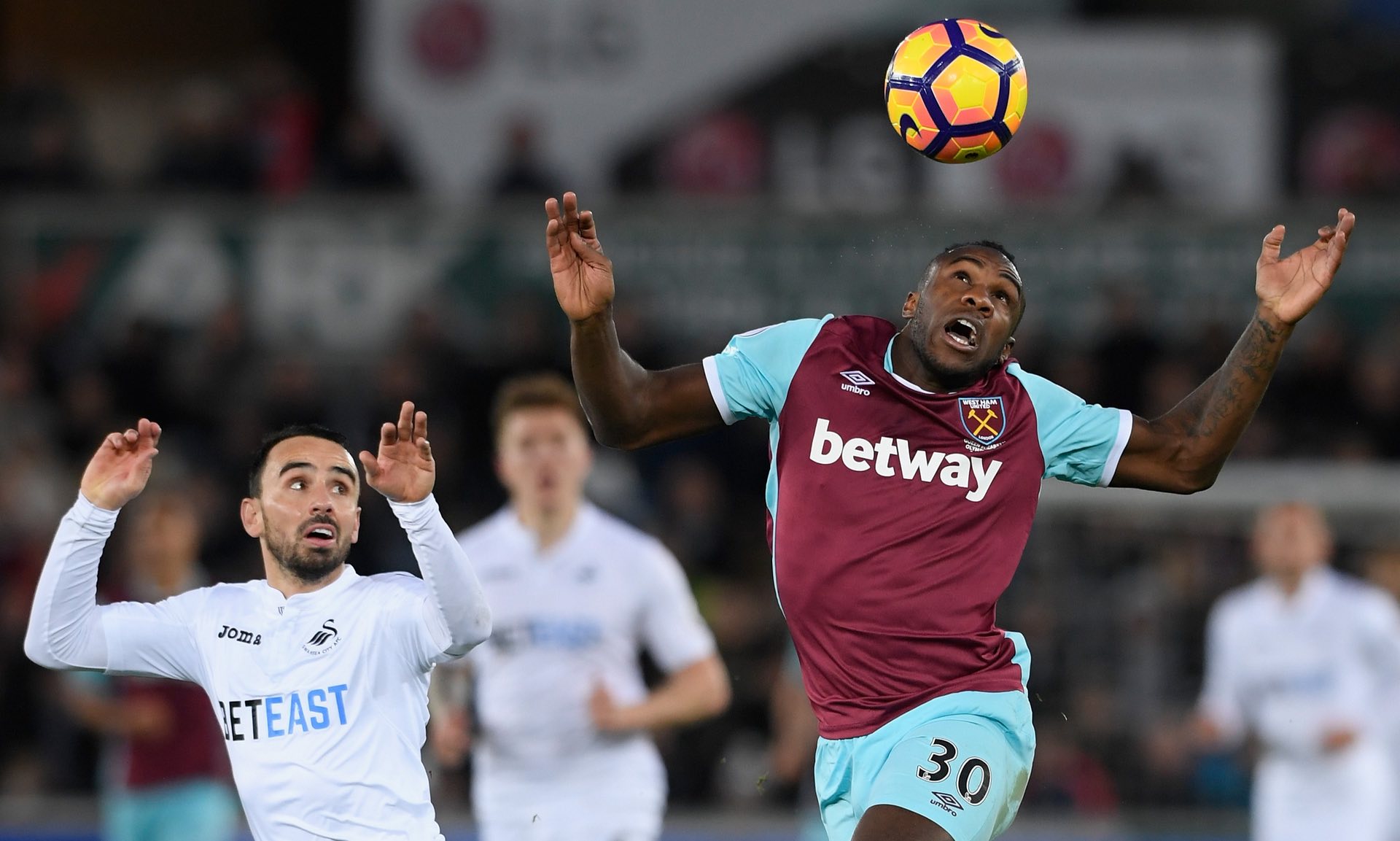 他都能游刃 他都能游刃